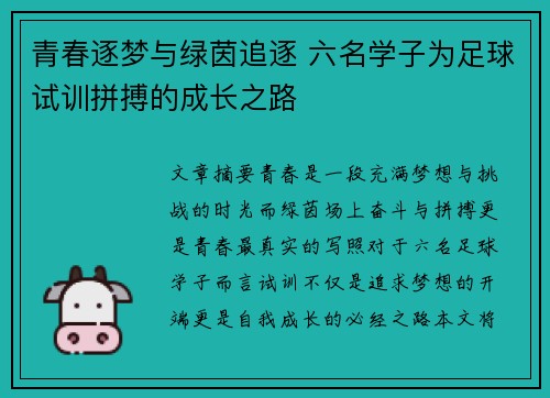 青春逐梦与绿茵追逐 六名学子为足球试训拼搏的成长之路