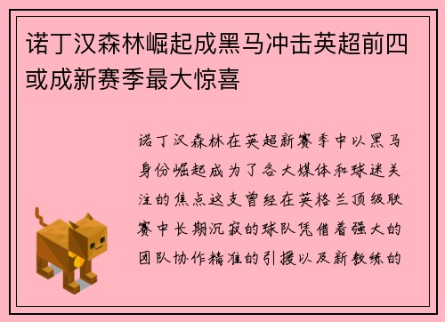 诺丁汉森林崛起成黑马冲击英超前四或成新赛季最大惊喜